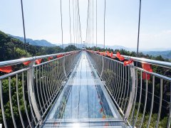 松阳双童山景区